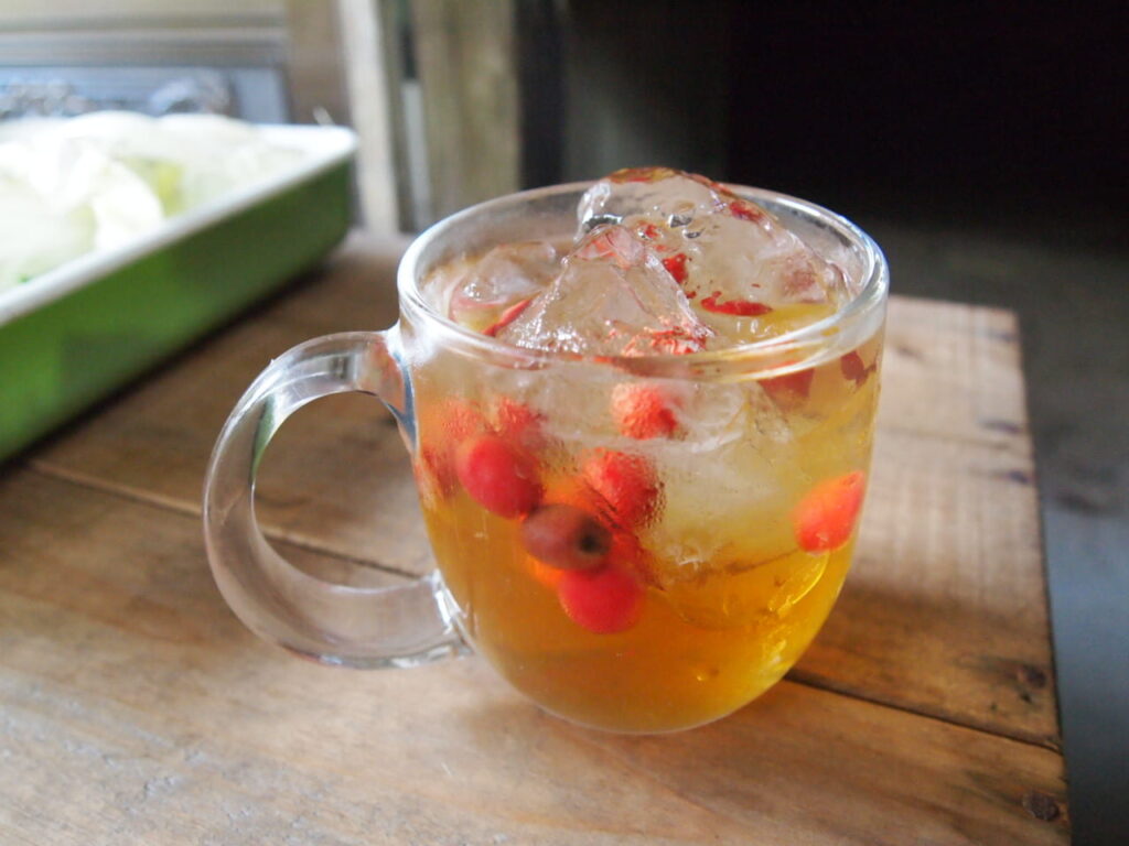 ぐみの果実酒（ホワイトリカー漬け）｜氷砂糖とぐみの実