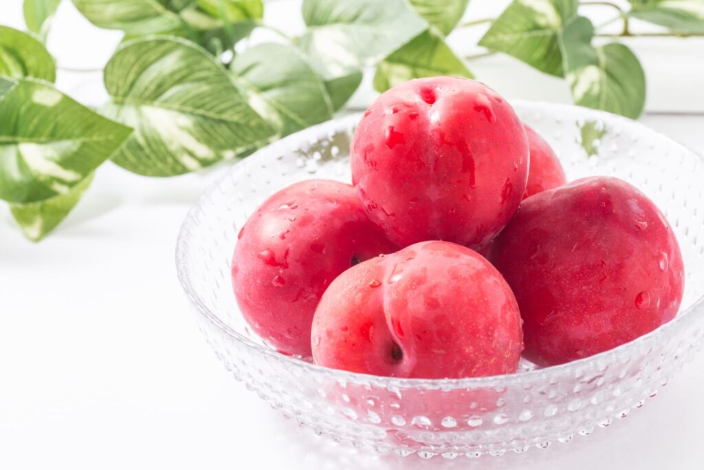 皿に盛られた新鮮なすもも（プラム）｜酸味と甘みが特徴の夏の果物