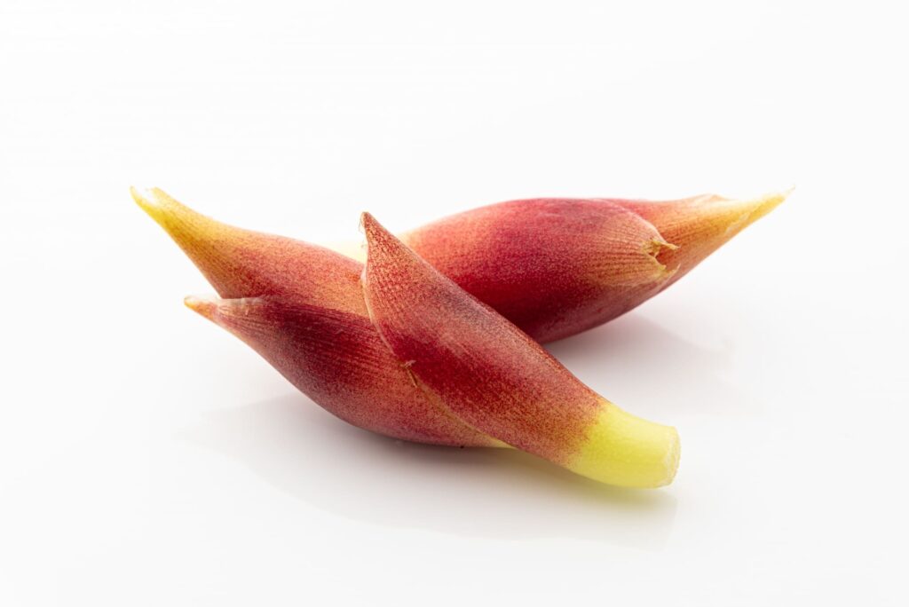 新鮮な茗荷（みょうが）