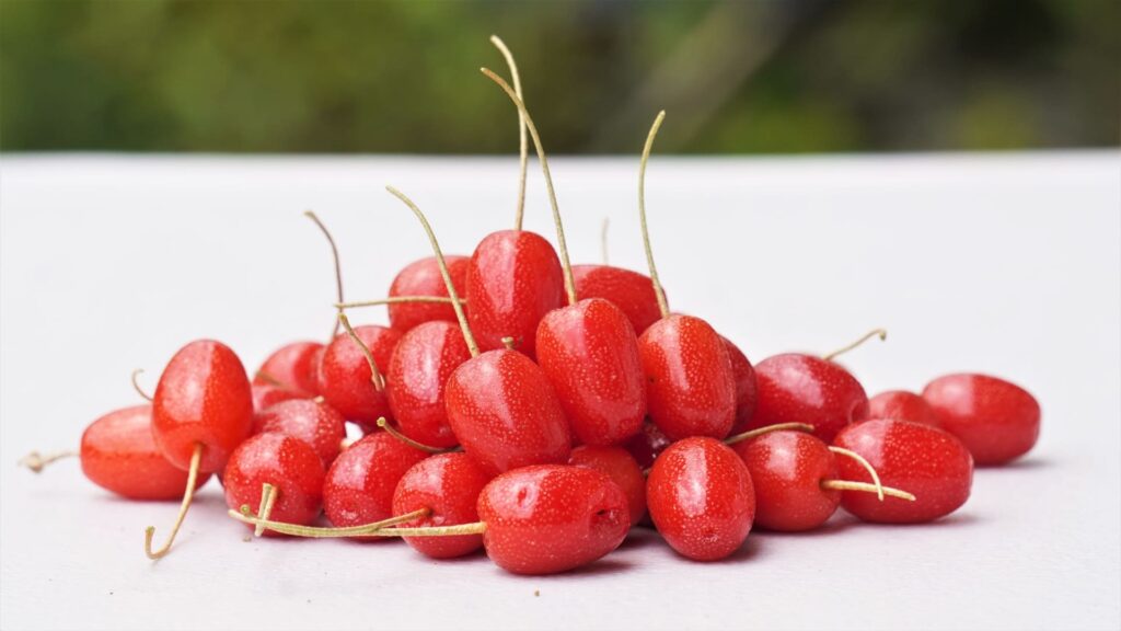 収穫したぐみの実がたっぷり並ぶ｜甘酸っぱく上品な渋み