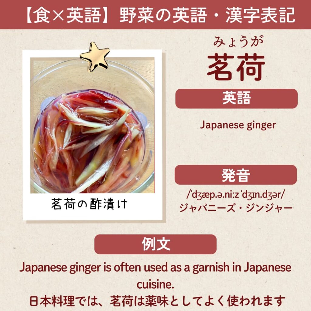 茗荷の英語表記 Japanese ginger を示した英語カード