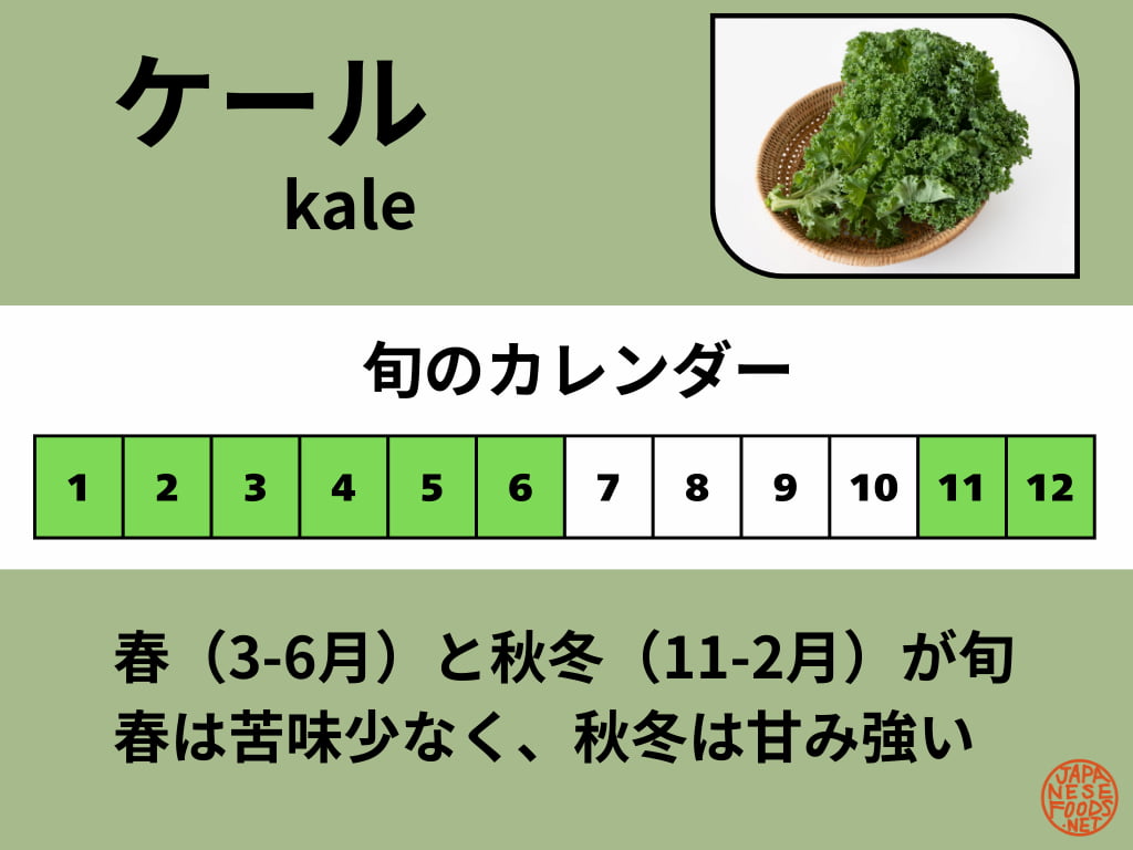 ケールの旬カレンダー 春(3-6月)と秋冬(11-2月)が旬の時期 春は苦味が少なく秋冬は甘みが強い 月別の収穫時期と味の特徴