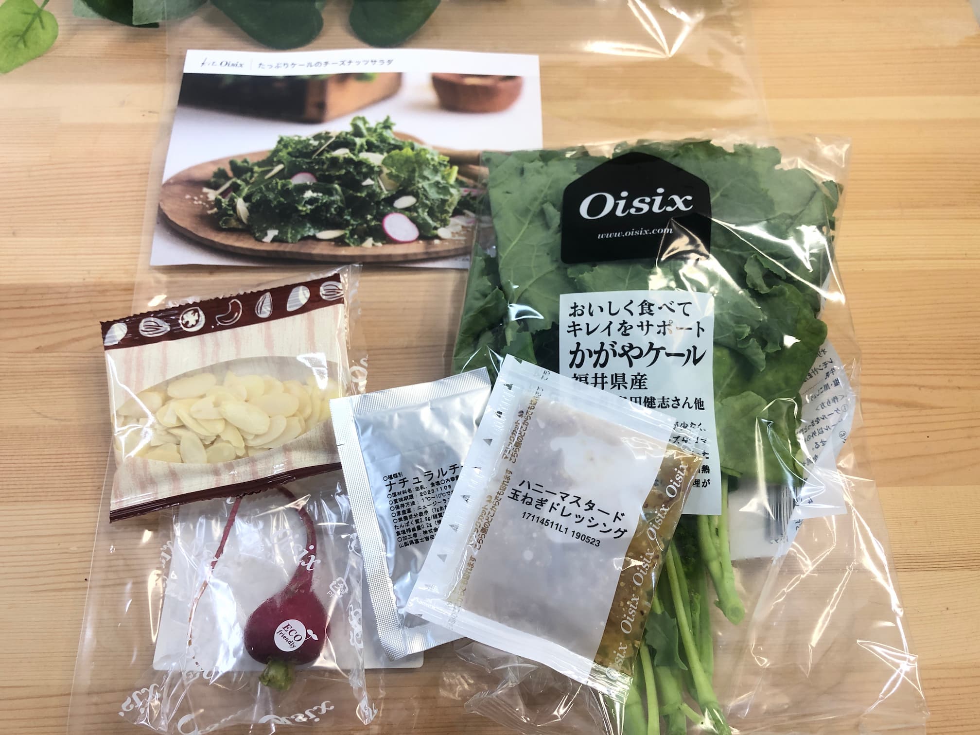 ケールサラダのOisixミールキット(未開封)