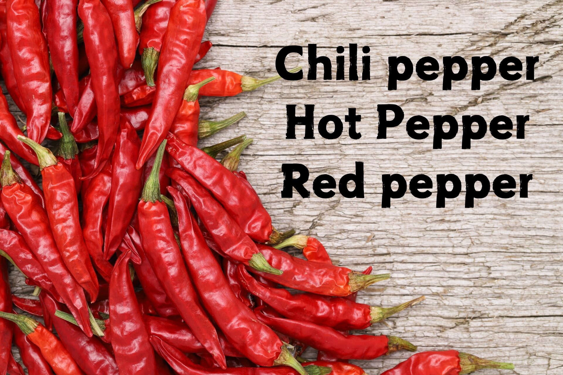 赤い唐辛子と英語表記『Chili pepper』『Hot Pepper』『Red pepper』」