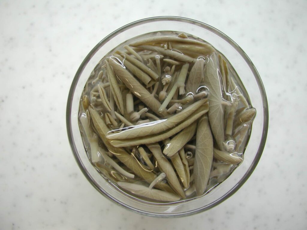 透明の器に盛りつけられたじゅんさい|ゼリー状のぬめりが光る