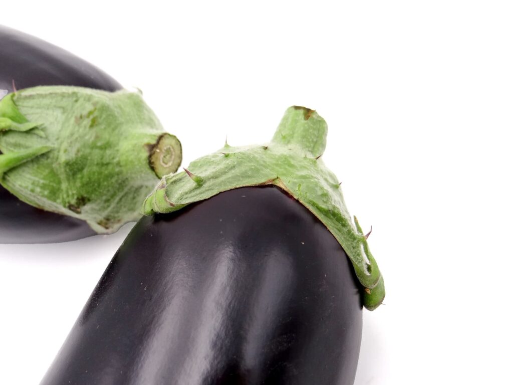 米茄子のヘタ部分のアップ写真｜トゲがある新鮮なべいなす