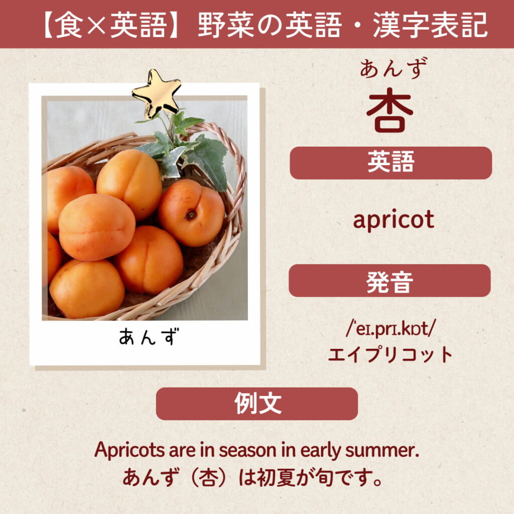 杏(あんず)の英語表記「apricot」と発音記号、読み方、簡単な例文をまとめた解説画像