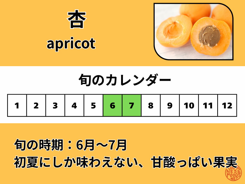 あんず(杏/apricot)の旬カレンダー画像。国産あんずの旬は6月〜7月で、甘酸っぱい初夏の果物