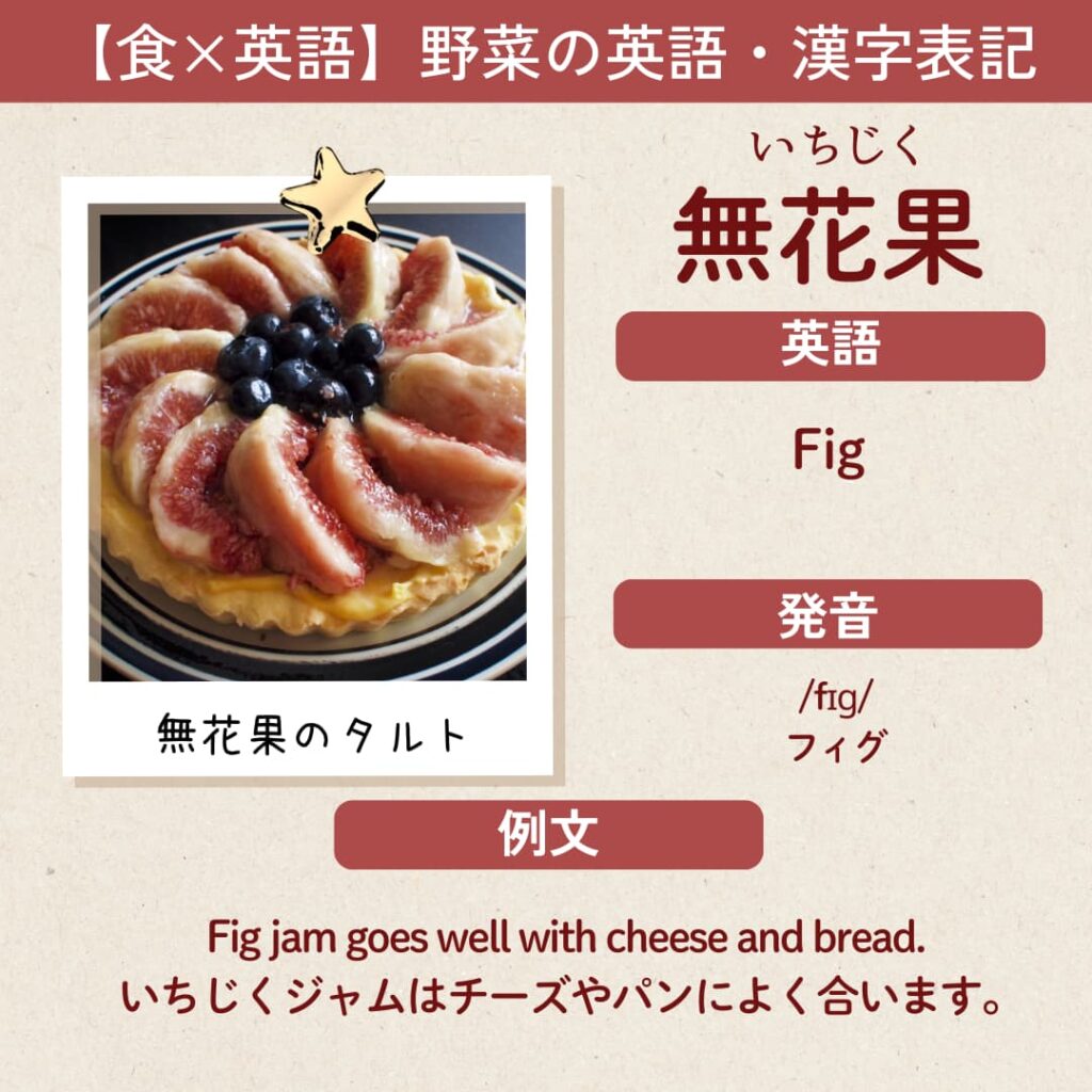 無花果の英語表記 fig｜発音と意味