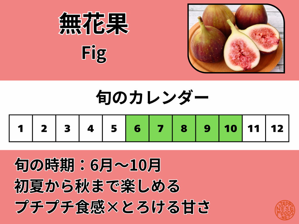 無花果（いちじく）の旬カレンダー 6月から10月が食べ頃を示す図表