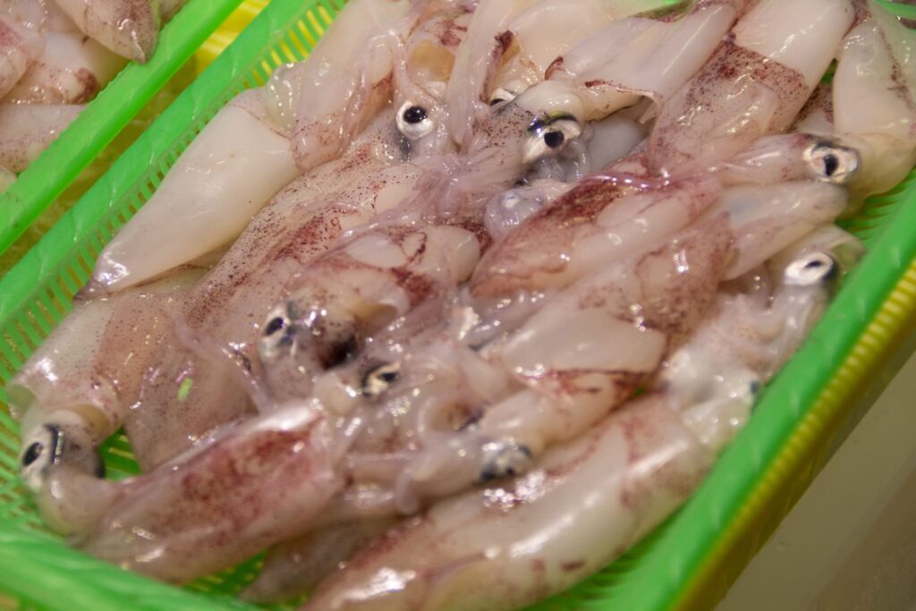 緑のざるに入ったたくさんの赤烏賊