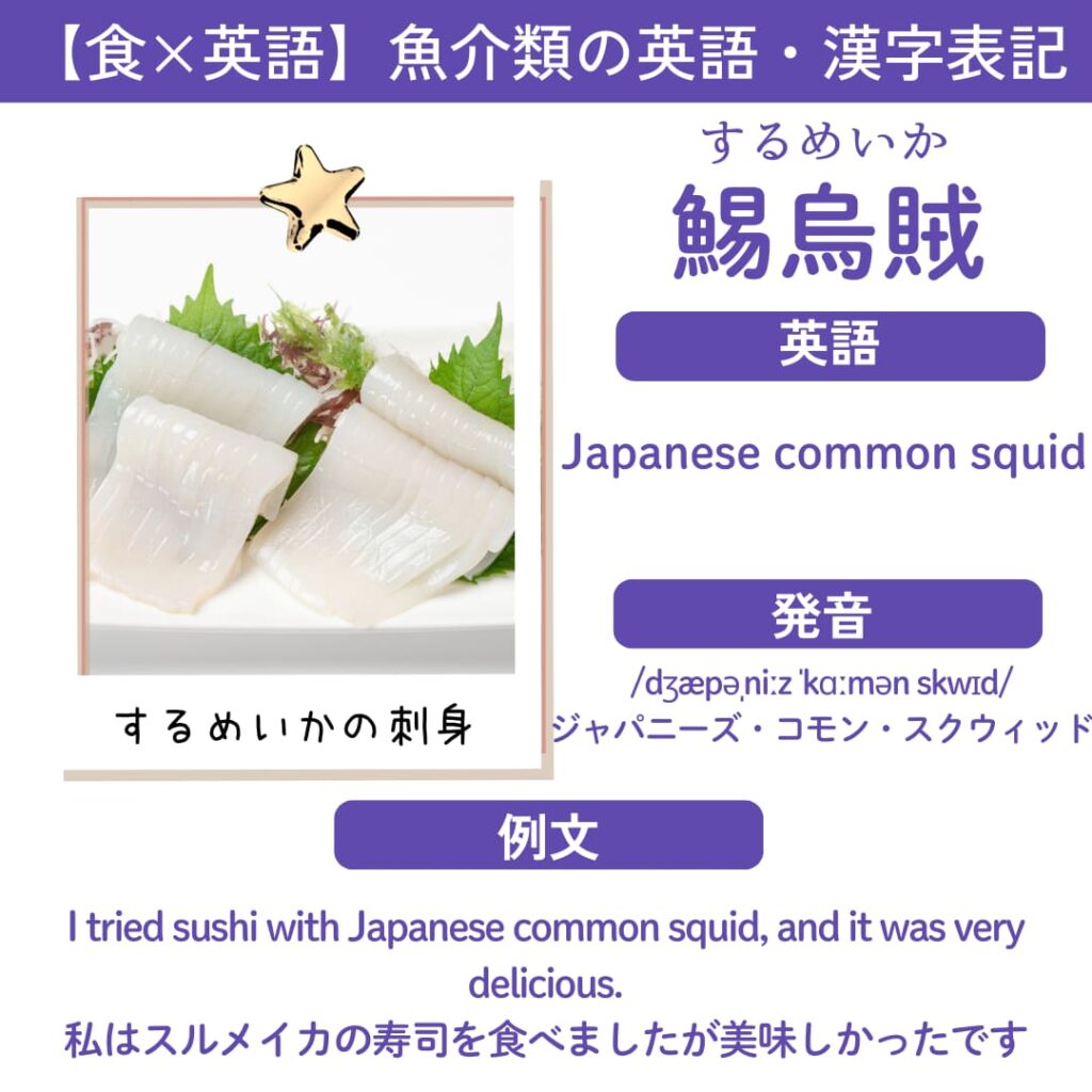 「スルメイカ（Japanese common squid / surume-ika）」の英語カード