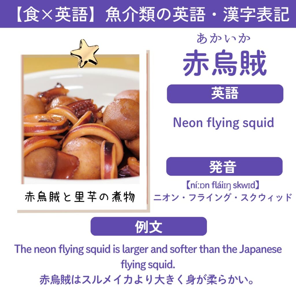 赤烏賊（Neon flying squid）の英語表記カード