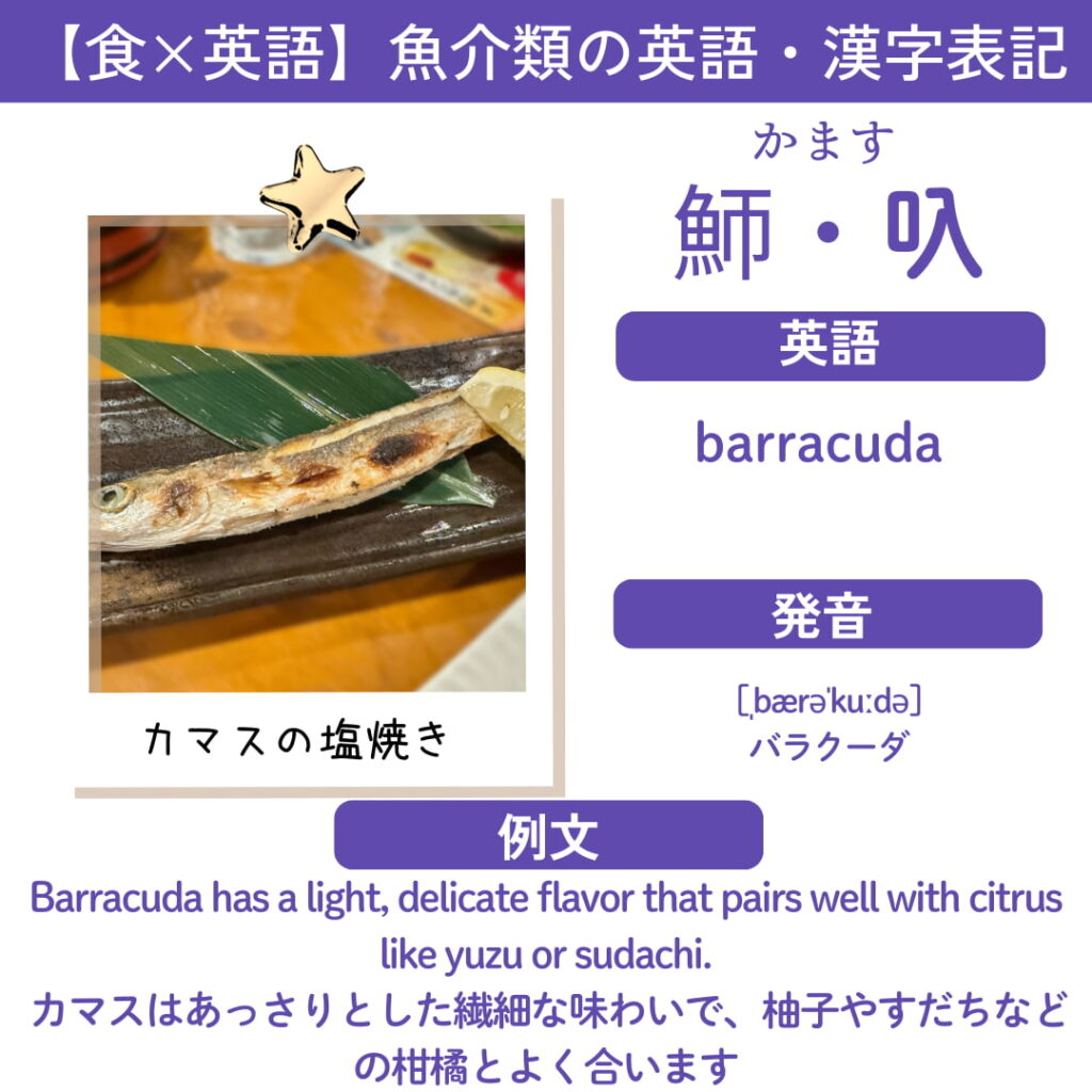 かますの英語表記カード「Barracuda」