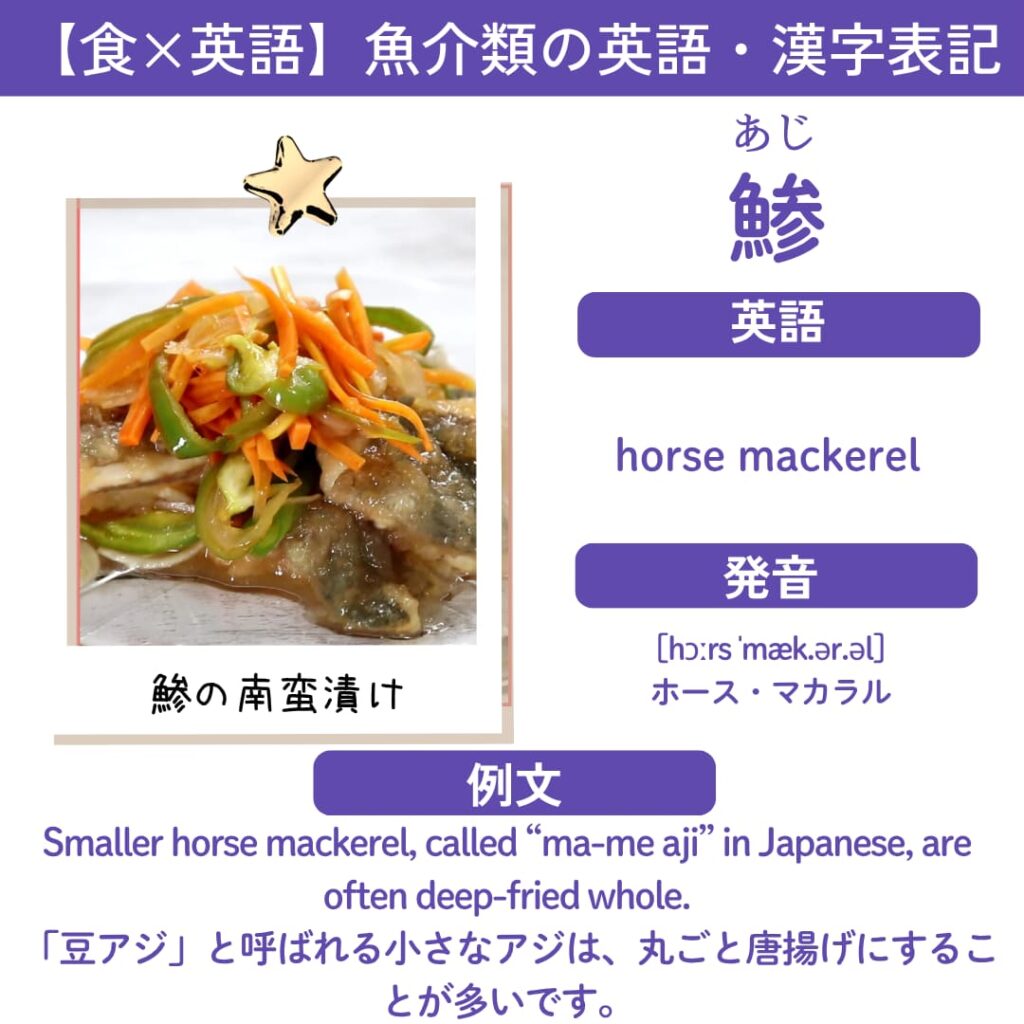 鯵の英語表記カード