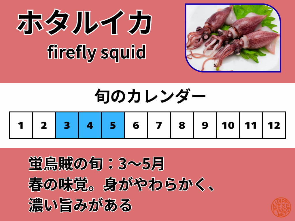 蛍烏賊（ほたるいか）の旬を示したカレンダー（3月〜5月）