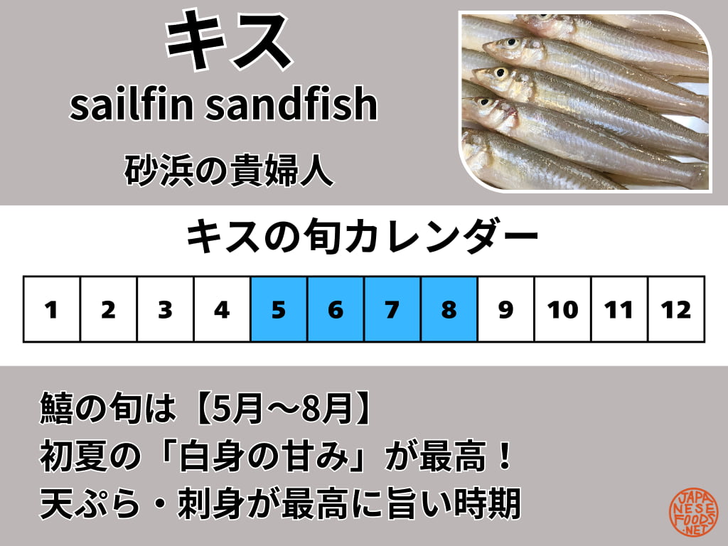 鱚（キス）の旬の時期を解説した図解。5月から8月の晩春から夏にかけての食べ頃と、最も脂がのる6月・7月のピークを説明したカレンダー。