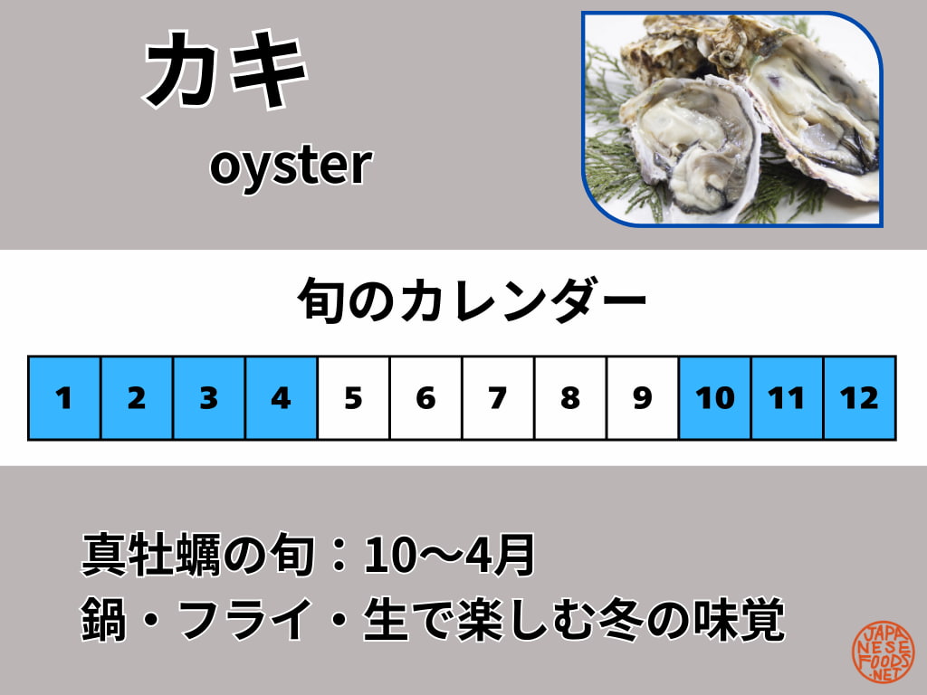真牡蠣（マガキ）の旬カレンダー。旬の目安は10〜4月で、冬が食べごろ