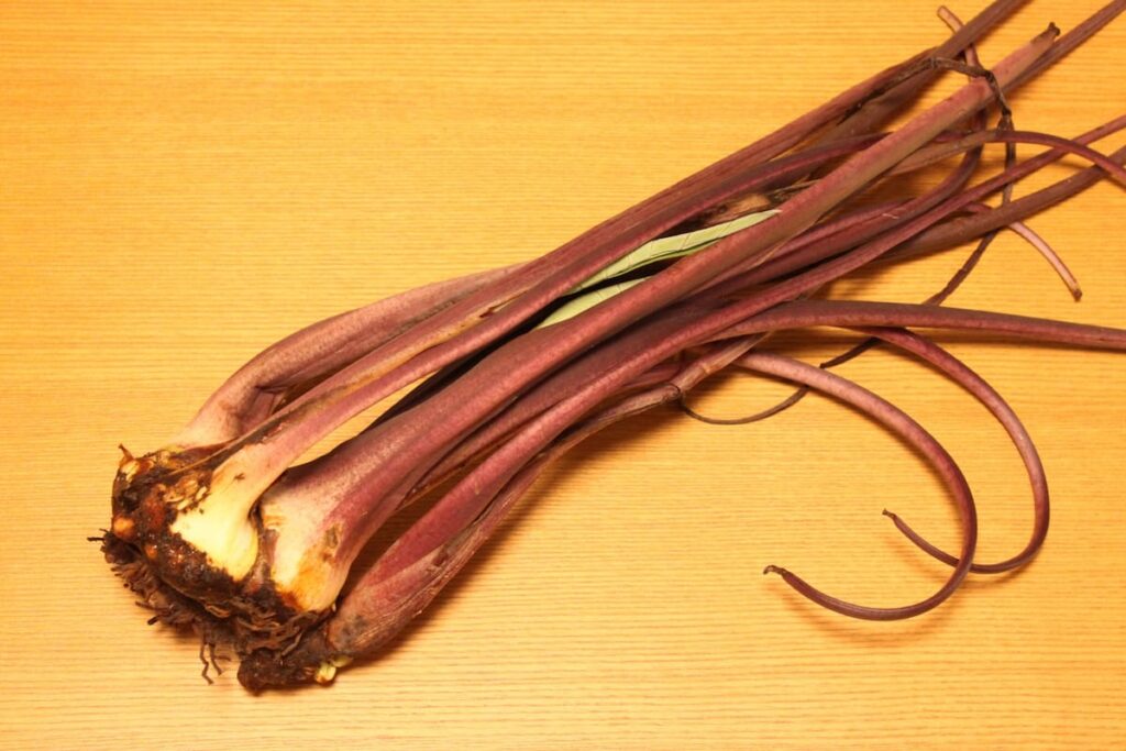 束になったずいき（芋茎）｜根元から先までの全体写真