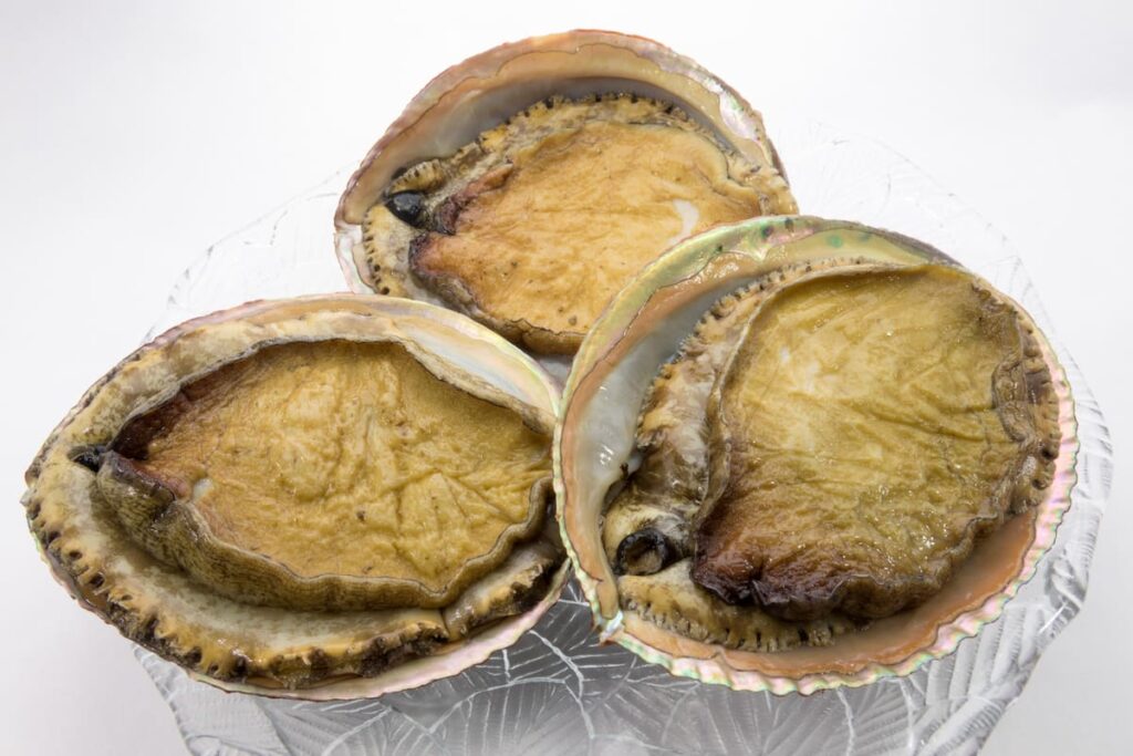 鮑（あわび）の目利き｜新鮮な個体の選び方