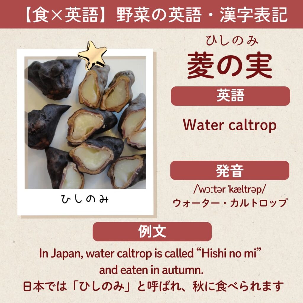 菱の実の英語表記「Water caltrop(ウォーター カルトロップ)」