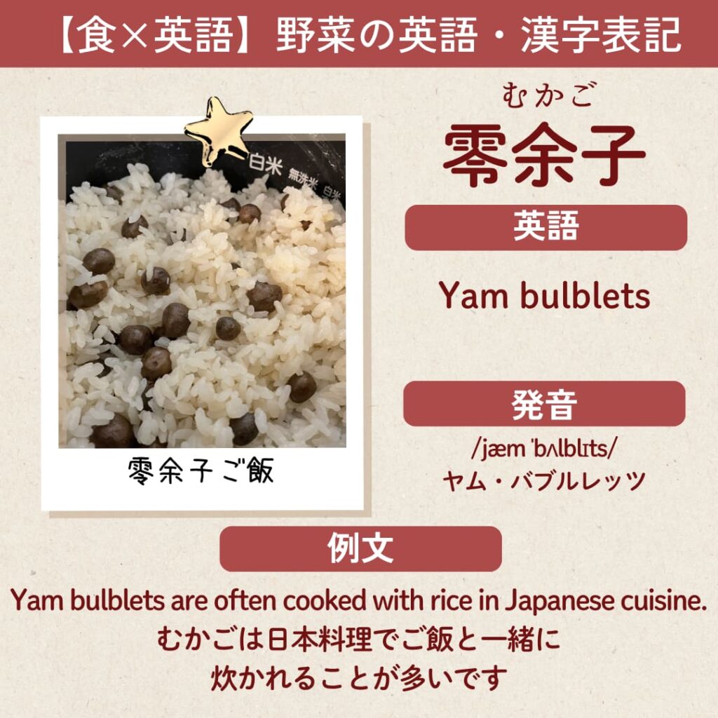 Yam bulblets（むかご）の英語カード