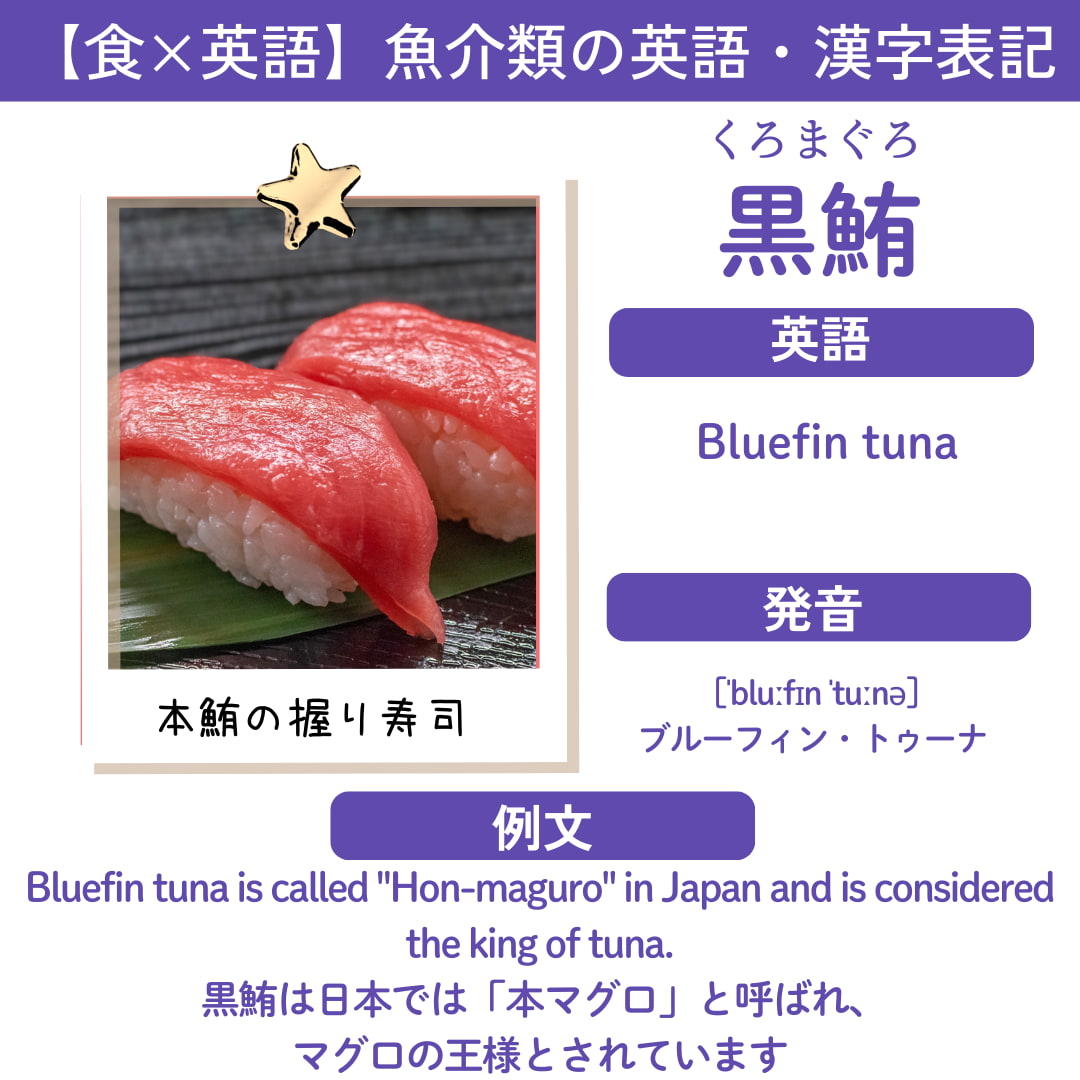 黒鮪（クロマグロ／本鮪）の旬・特徴・栄養素｜bluefin tuna