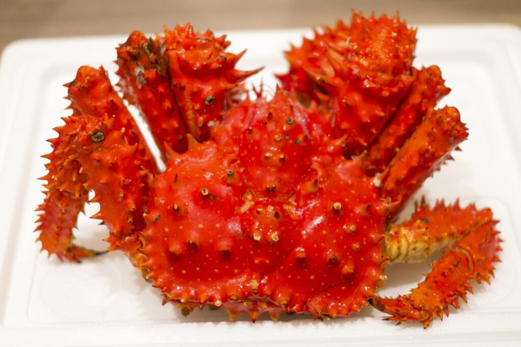 茹でた花咲蟹1尾｜根室港で水揚げされる旬の花咲ガニ