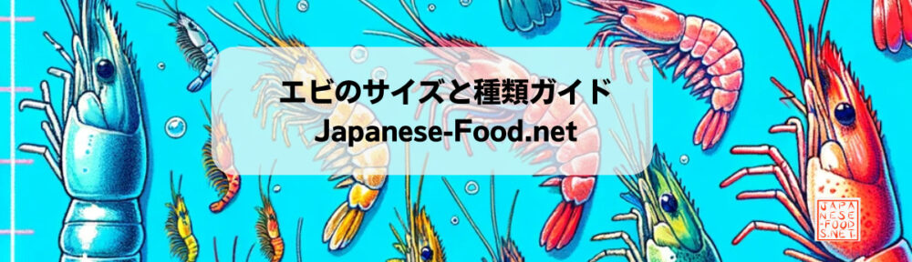 エビのサイズと種類ガイド　japanese-food