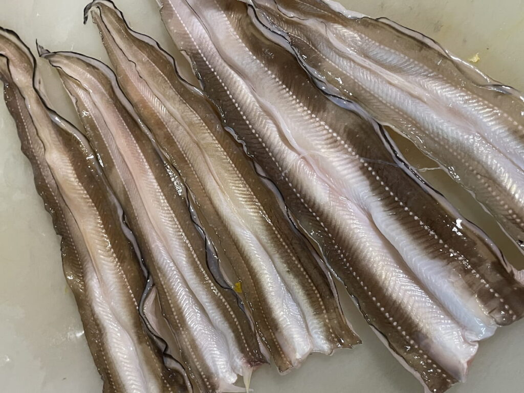 開いた穴子(頭なし)|身にツヤと厚みのある新鮮な個体