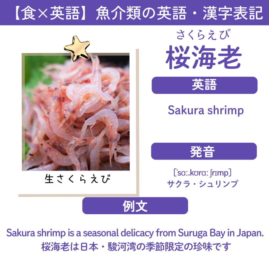 桜海老を表す英語「Sakura Shrimp」が書かれたカード