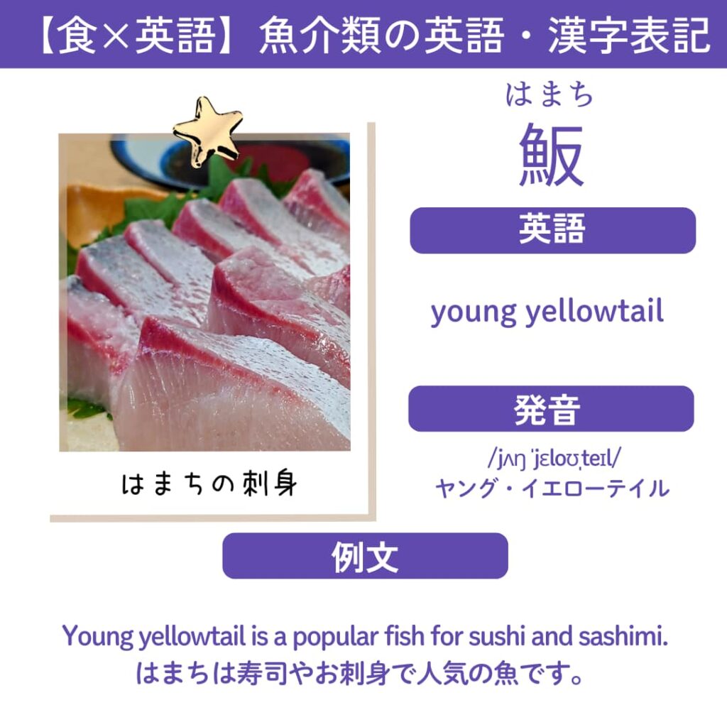 はまちの旬である6月から10月を強調した年間カレンダー。冬のブリとは異なる「さっぱりとした脂の魅力」を解説するテキストと、新鮮なはまちの写真が含まれている。