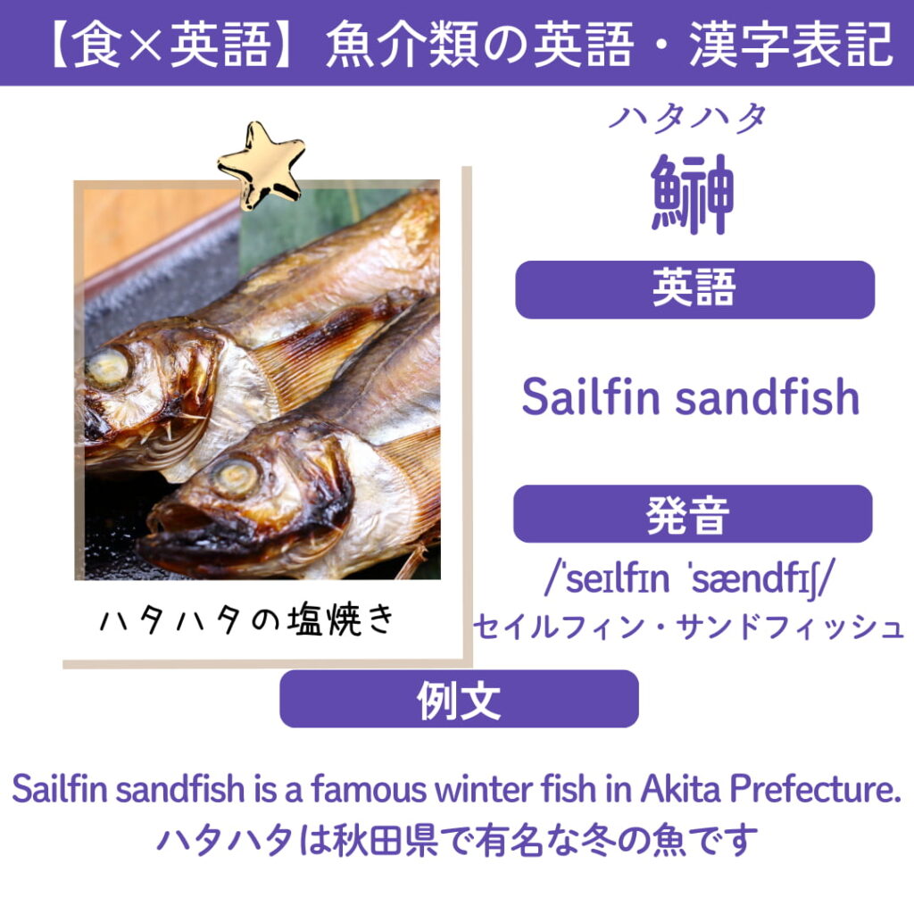 ハタハタ（鰰）の漢字・英語「Sailfin sandfish」・発音・例文をまとめた英語学習用カード。ハタハタの塩焼きの写真と「ハタハタは秋田県で有名な冬の魚です」という日本語訳付きの例文。