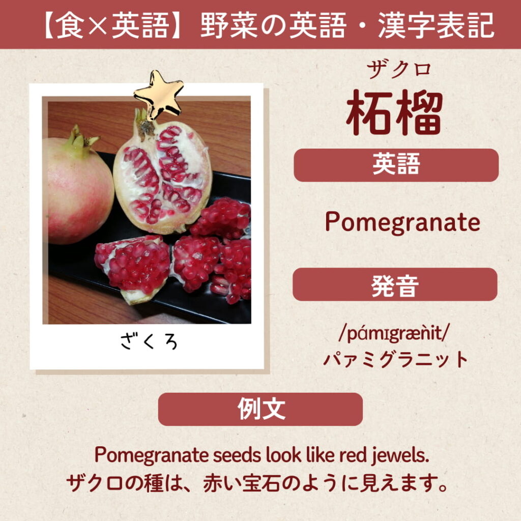 ザクロの英語「Pomegranate」と漢字「柘榴」、発音記号、例文「Pomegranate seeds look like red jewels」が書かれた学習カード画像。