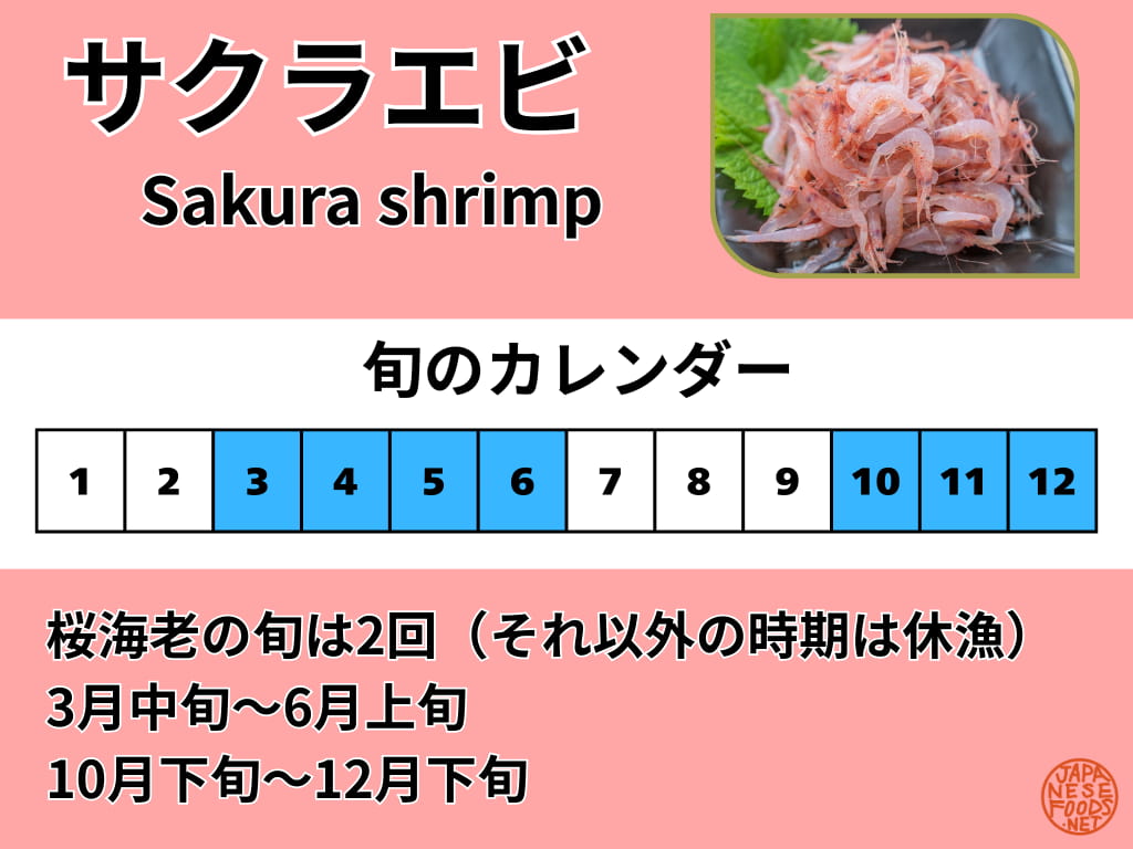 桜海老(さくらえび)の旬を示したカレンダー(3〜6月・10〜12月)