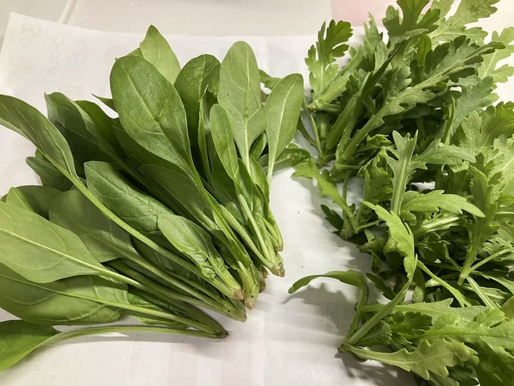 春菊とほうれん草を並べた比較|似た英語名に注意