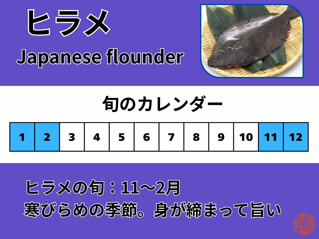 ヒラメの旬カレンダー。旬の目安は11〜2月で、冬の寒びらめが食べごろ
