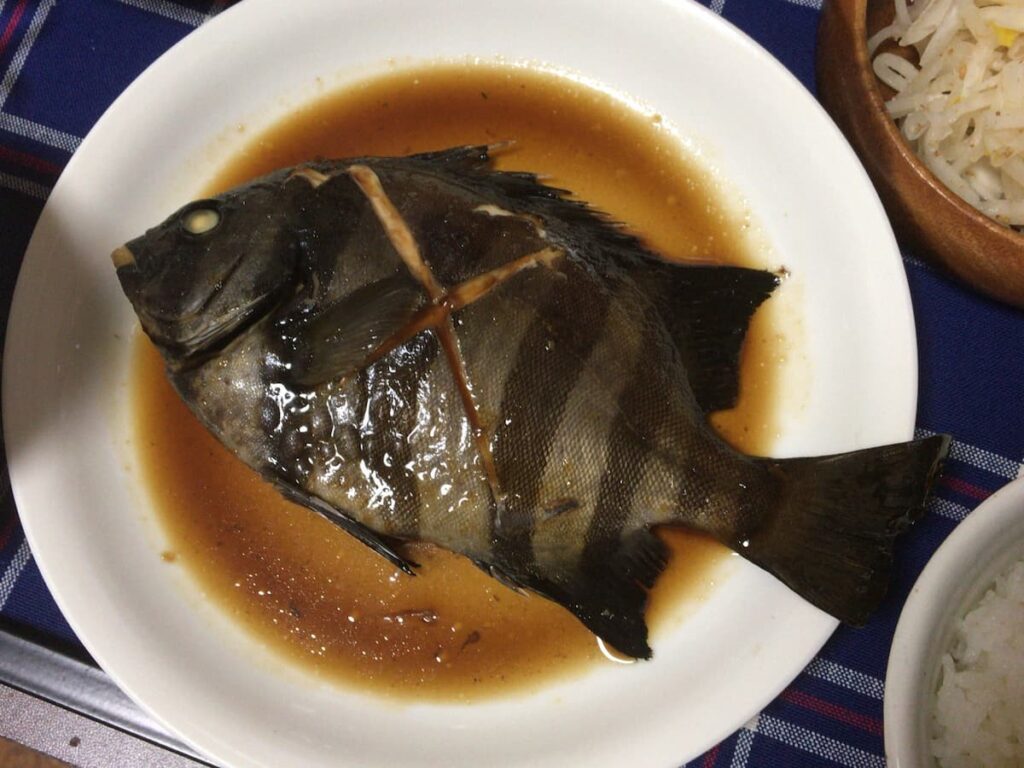 石鯛の調理法|刺身・塩焼き・煮付け