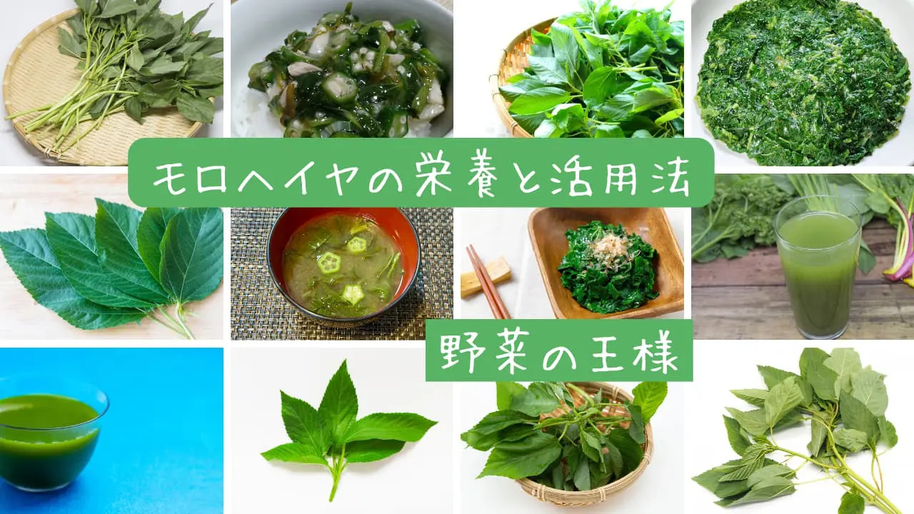 モロヘイヤ 栄養 すごい
