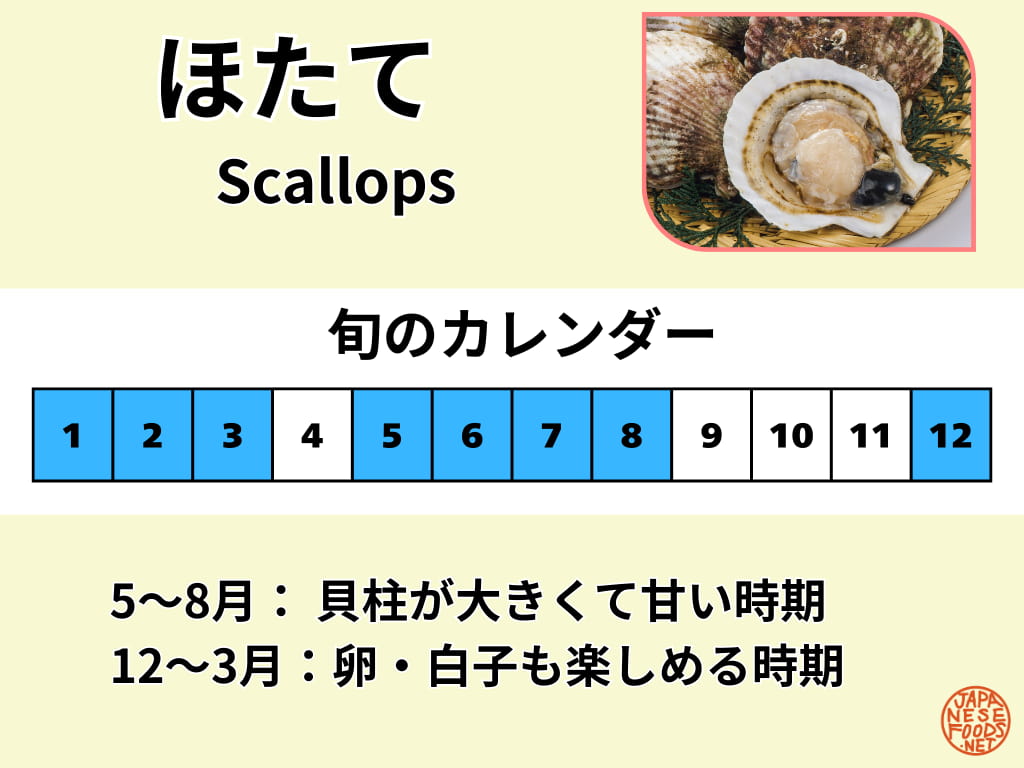 帆立貝(ほたてがい)の旬を示したカレンダー(5〜8月・12〜3月)