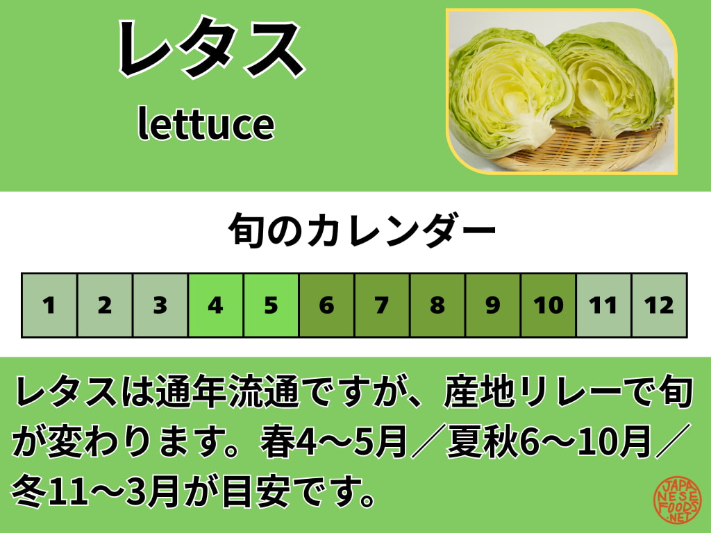 レタスの旬カレンダー。通年流通で、春は4〜5月、夏秋は6〜10月、冬は11〜3月が目安