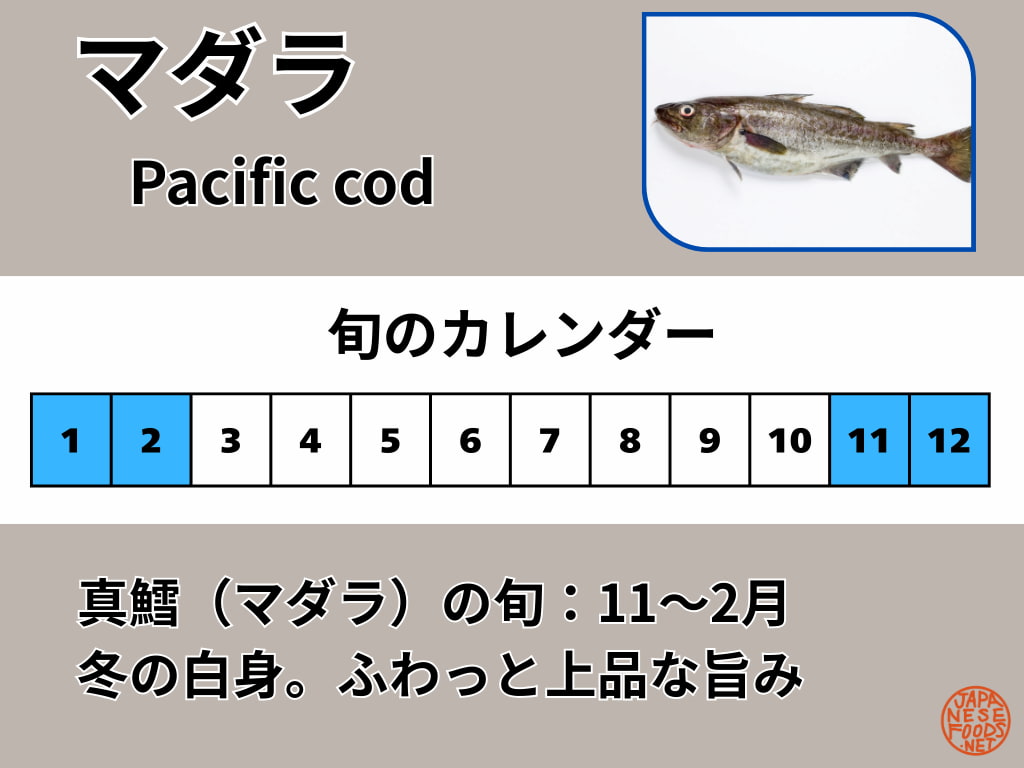 真鱈（マダラ）の旬カレンダー。旬の目安は11〜2月で、冬が食べごろ。