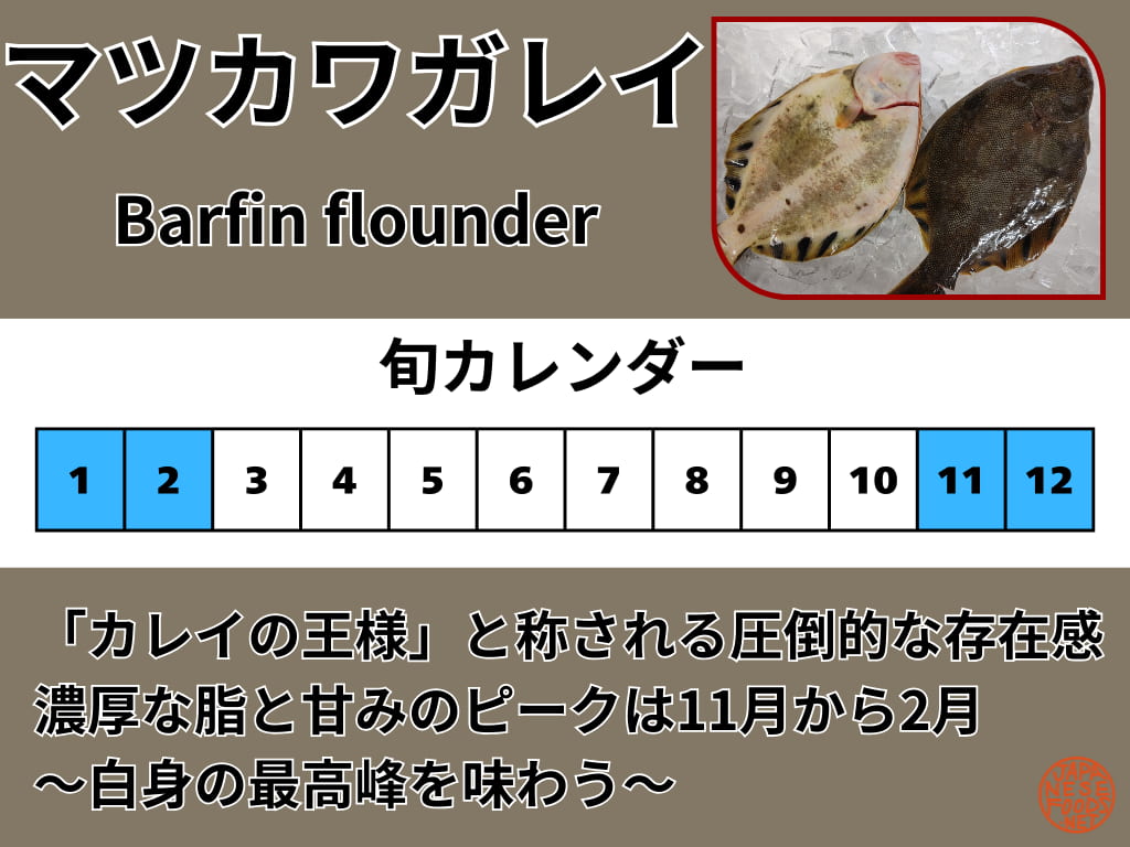 マツカワガレイの旬（11月、12月、1月、2月）と、おすすめの調理法が刺身であることを示すカレンダー画像。