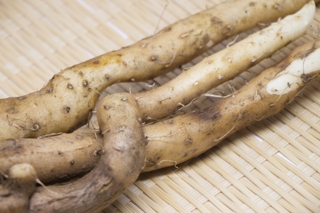 旬の野菜 自然薯 | 栽培物は比較的アクが少ない