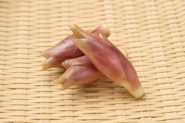 もうすぐ旬が終わる野菜 茗荷 | 
独特の香り成分（αピネン）で食欲増進