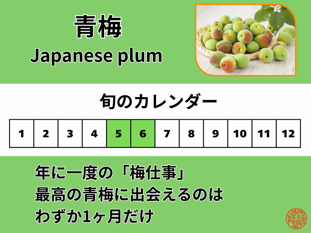 青梅の旬のカレンダー。5月下旬から6月が、梅酒やシロップ作りに最適な収穫時期であることを示す図解。
