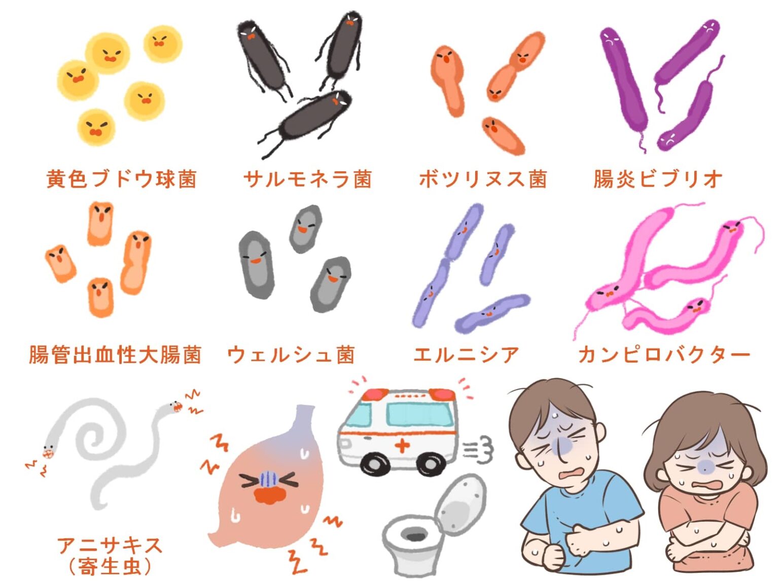 食中毒・寄生虫の種類と症状一覧!原因と予防法を調理師が徹底解説