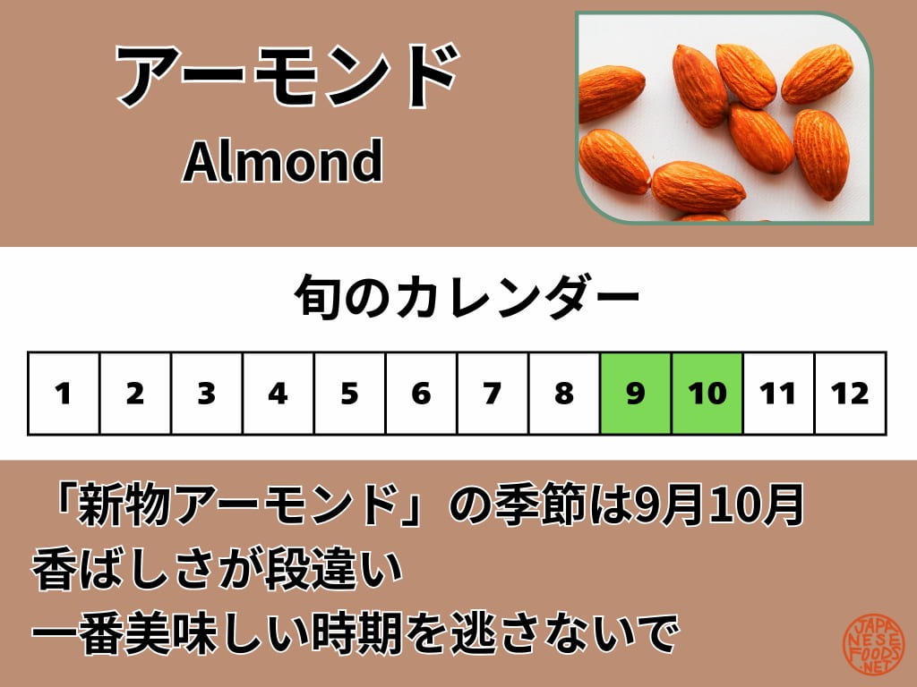 アーモンドの旬のカレンダー。9月と10月が収穫時期で新物が美味しいことを示す図解。