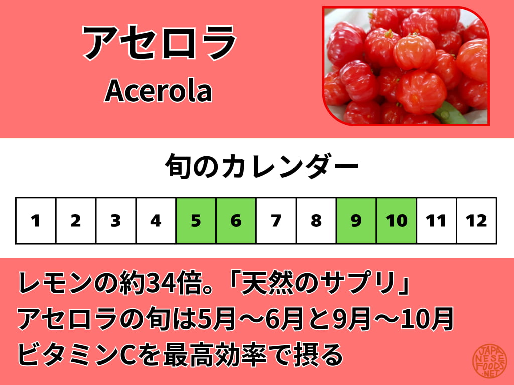 アセロラの旬のカレンダー。5月〜6月と9月〜10月の年2回、特に初夏が最も瑞々しく栄養価が高まる時期であることを示す図解。