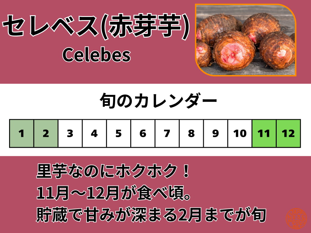 セレベス（赤芽芋）の旬のカレンダー。11月・12月の最盛期と、貯蔵で甘みが増す2月までの期間を解説する図解。